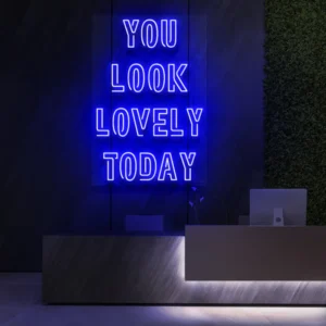 1 You Look Lovely Today Neon Light